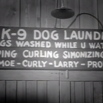 K-9 Dog Laundry - dogs washed while u wate - Moe - Curly - Larry - props